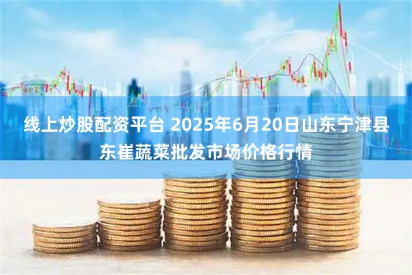 线上炒股配资平台 2025年6月20日山东宁津县东崔蔬菜批发市场价格行情